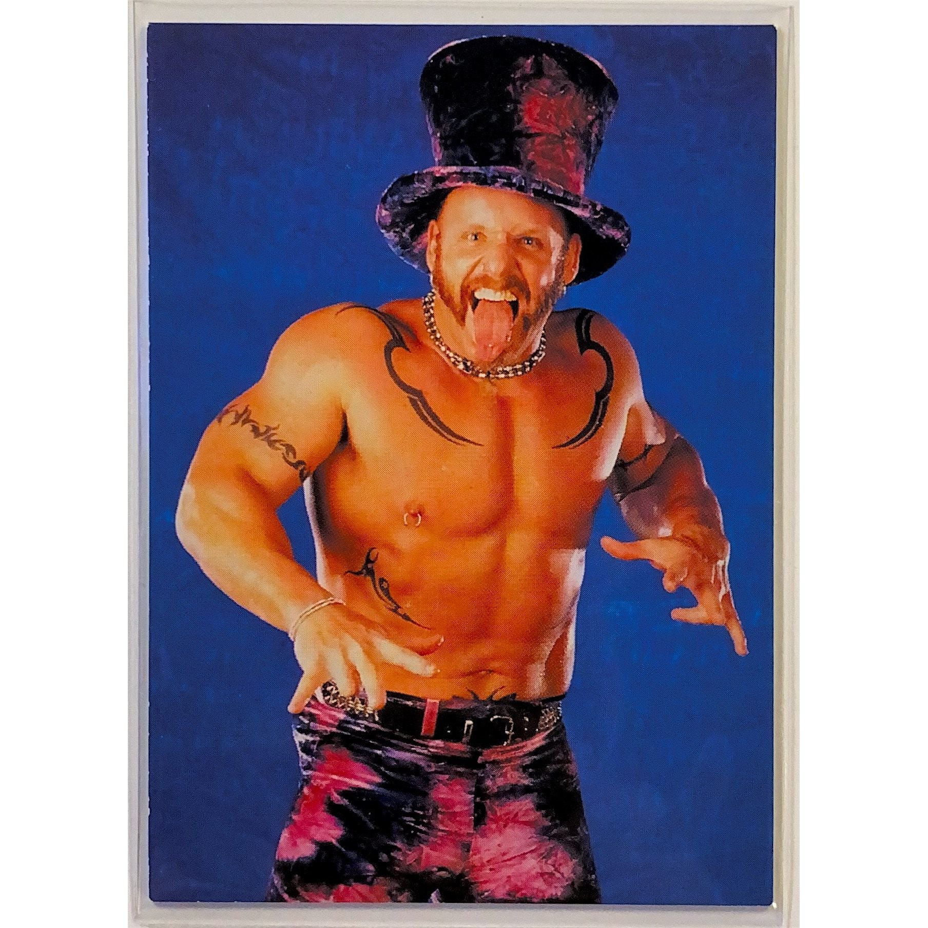  1999 Titan Sports Comic Images Droz WWF Smackdown! #15  Local Legends Cards & Collectibles